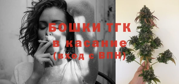 меф Арсеньев