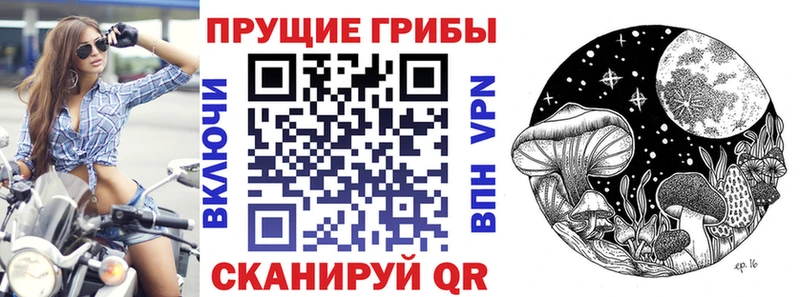 Псилоцибиновые грибы Magic Shrooms  где купить наркоту  ОМГ ОМГ ТОР  Артёмовск 