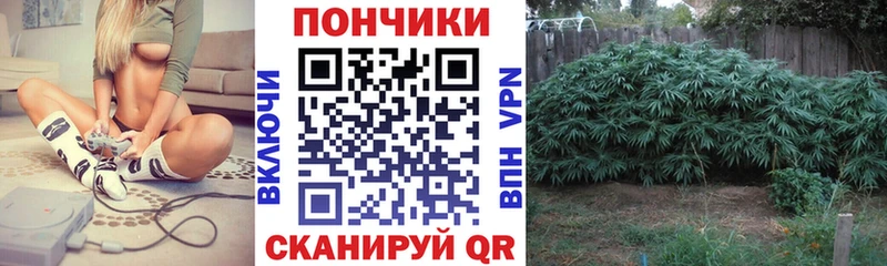 Шишки марихуана индика  даркнет сайт  hydra сайт  Артёмовск 